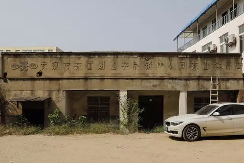 文物古跡 文物古跡 武漢市東西湖區(qū)人民政府 武漢臨空港經(jīng)濟技術(shù)開發(fā)區(qū)管委會